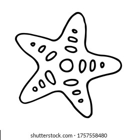 Sea star doodle outline hand drawn isolated editable illustration. Transparent drawing on white background