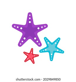 Sea Star fish icon Template vector illustration design