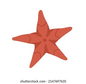 Sea star fish. Marine underwater starfish, mollusc. Undersea five-pointed mollusk. Exotic tropical invertebrate ocean animal. Beach decoration. Flat vector illustration isolated on white background