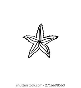 Sea star hand drawn vector illustration
