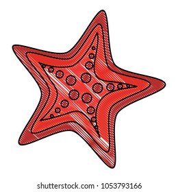 sea star icon 