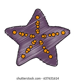 sea star icon