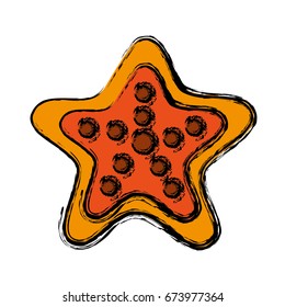 sea star icon