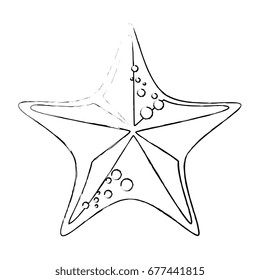 sea star icon
