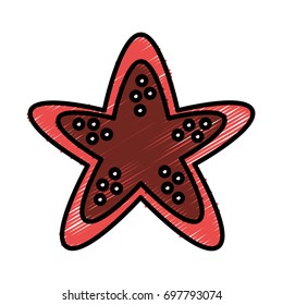 sea star icon
