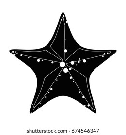 Sea star isolated