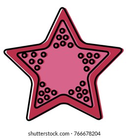 Sea star isolated