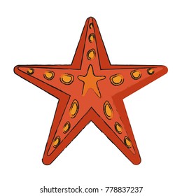 Sea star isolated