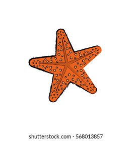 Sea star isolated icon vector illustration graphic design