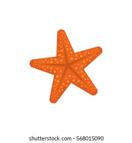 Sea star isolated icon vector illustration graphic design