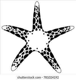 sea star logo starfish