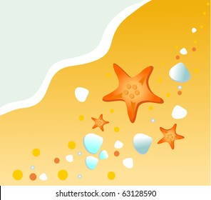 sea star on the beach