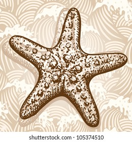 Sea star. Original hand drawn illustration in vintage style