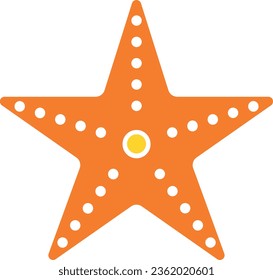 sea star star seaster ocean sea