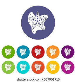 Sea star set icons in different colors isolated on white background
