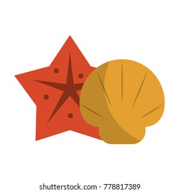 Sea star and shell