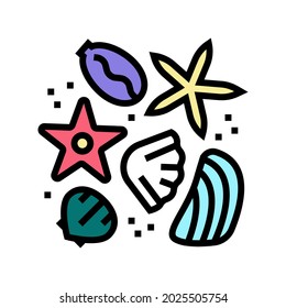 sea star and shell resin art color icon vector. sea star and shell resin art sign. isolated symbol illustration