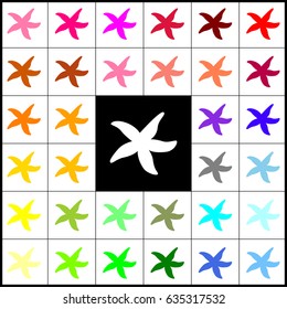 Sea star sign. Vector. Felt-pen 33 colorful icons at white and black backgrounds. Colorfull.