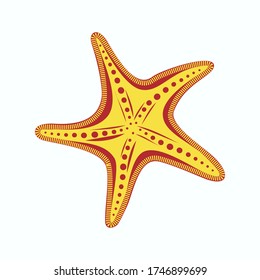 Sea star for summer design elements on a white background. Icon of the sea in cartoon style. Summer vector illustration.