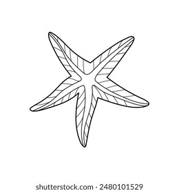 Sea star vector illustration. Line art. Printable coloring page for kids and adults