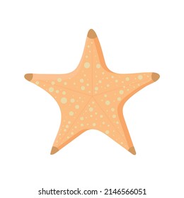 Sea starfish isolated on white background.  Flat vector design illustration. 