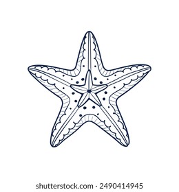 Sea starfish marine life line art