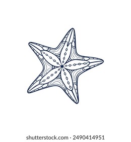 Sea starfish marine life line art