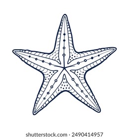 Sea starfish marine life line art