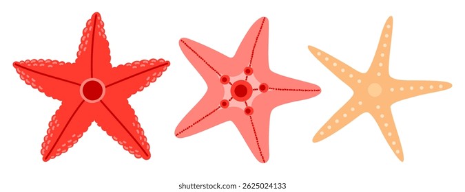 Sea starfish. Ocean exotic underwater collection stickers. Hand drawn vector illustration isolated on white background 