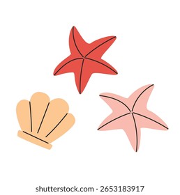 Sea Starfish and Sea Shell Vector Illustration.