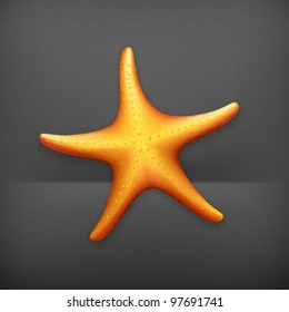 Sea Starfish, vector