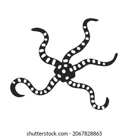 Sea starfish vector black icon. Vector illustration star sea on white background. Isolated black illustration icon of sea starfish .