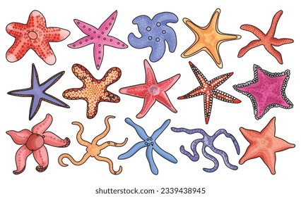 Sea starfish vector color set icon. Vector illustration marine star on white background. Isolated color set icon sea starfish.