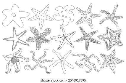 Icono de conjunto de contorno de vectores de estrella de mar. Ilustración vectorial estrella marina sobre fondo blanco. Esquema aislado conjunto icono mar estelar.