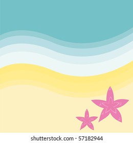 sea stars on the beach