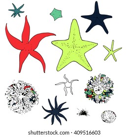 Sea stars pattern