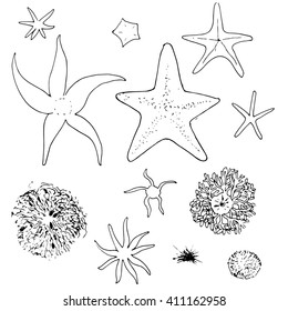 Sea stars pattern