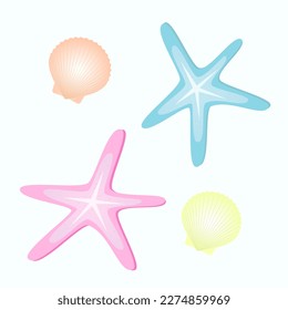 Estrellas y conchas marinas. Ilustración vectorial aislada.