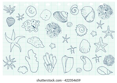 Sea stars and shells pattern.  Vector background.