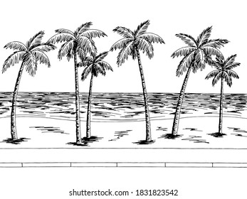 Sea street road graphic palm tree black white landscape sketch illustration vector