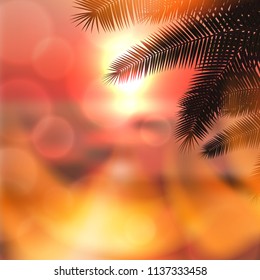 Sea summer red sunset with palmtree leaves