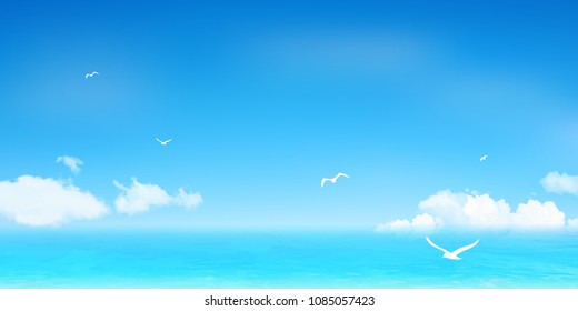 Sea summer seagull background