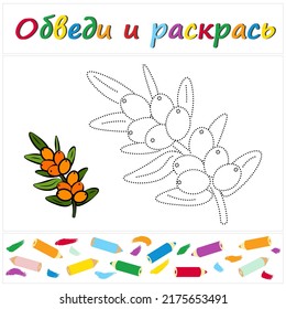 Sea ​​buckthorn. Task name "Trace and Color" in Russian. A page of a coloring book with a colorful berry. Repair the dotted line. Educational game. Cartoon style. Vector illustration for children, eps