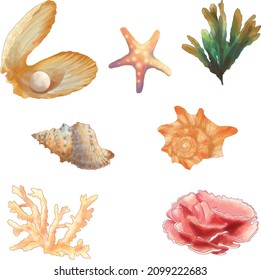 Sea themed watercolor Illustrations - Sea Shell, Reef, Conch, Seaweed, Pearl, and Starfish