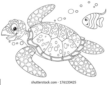 Sea turtle