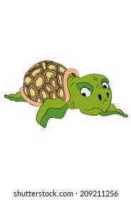 sea turtle 