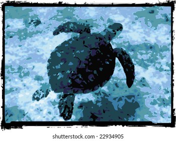 sea turtle