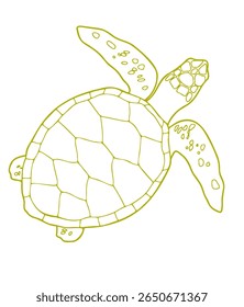 Sea Turtle Sea Turtle Sea Turtle Sea Turtle