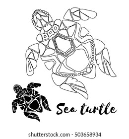 sea turtle