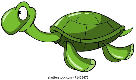 sea turtle